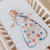 Sleep Bag - All Star
