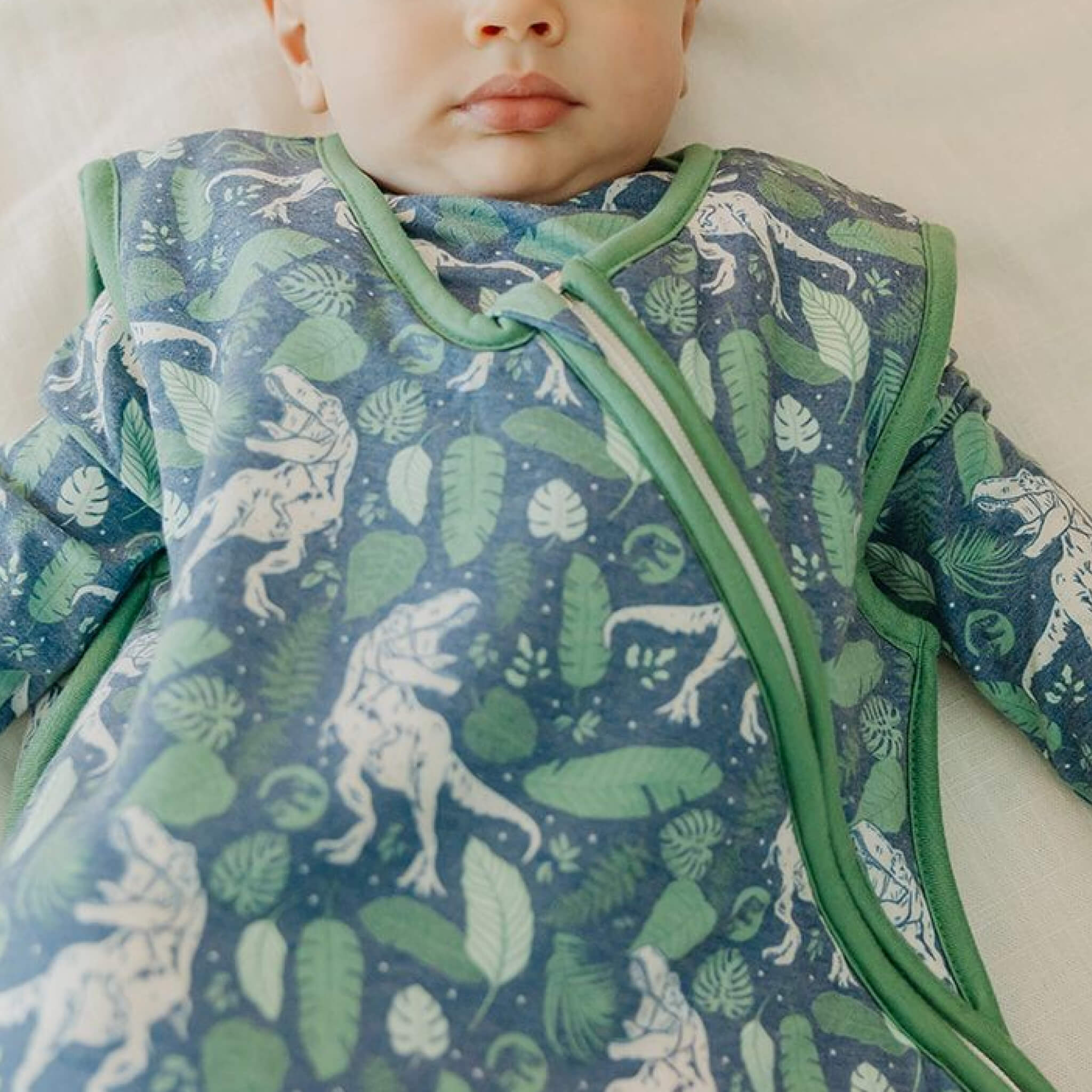 Sleep Bag - Jurassic Park