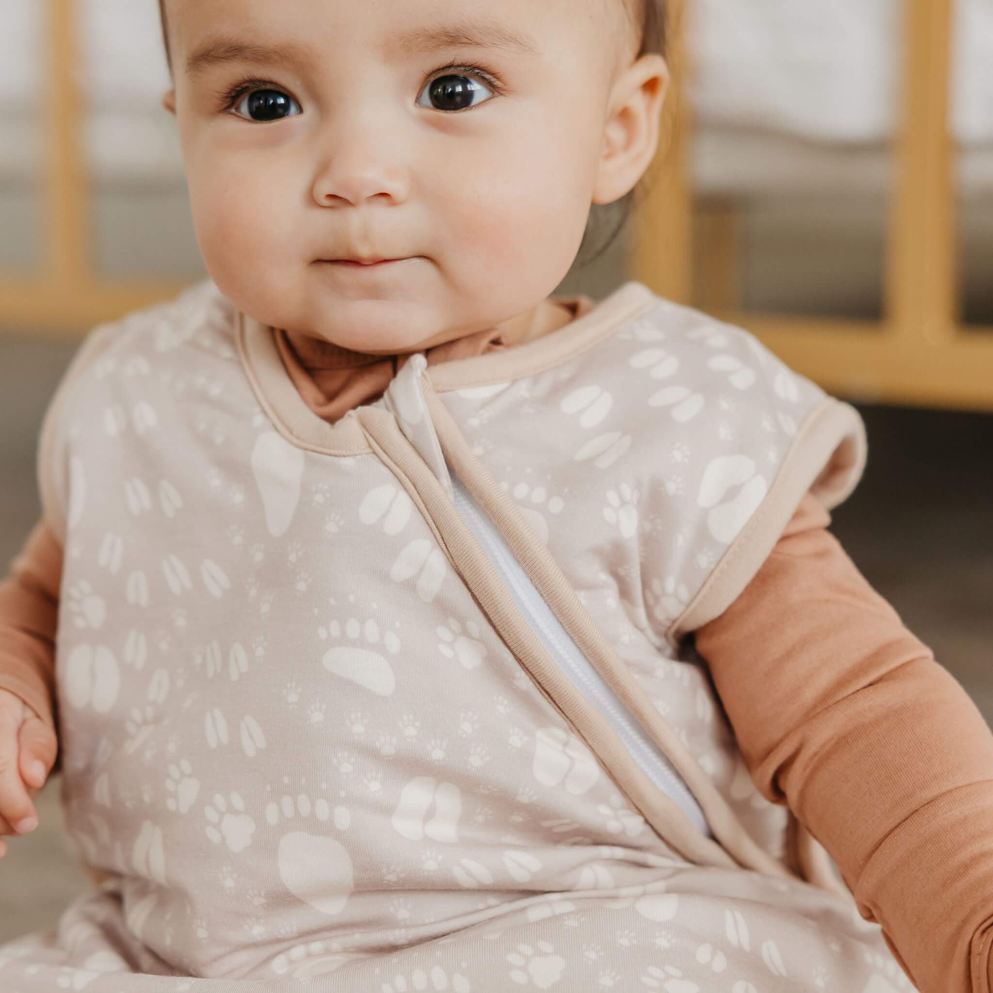 Sleep Bag - Jurassic Park Fossils