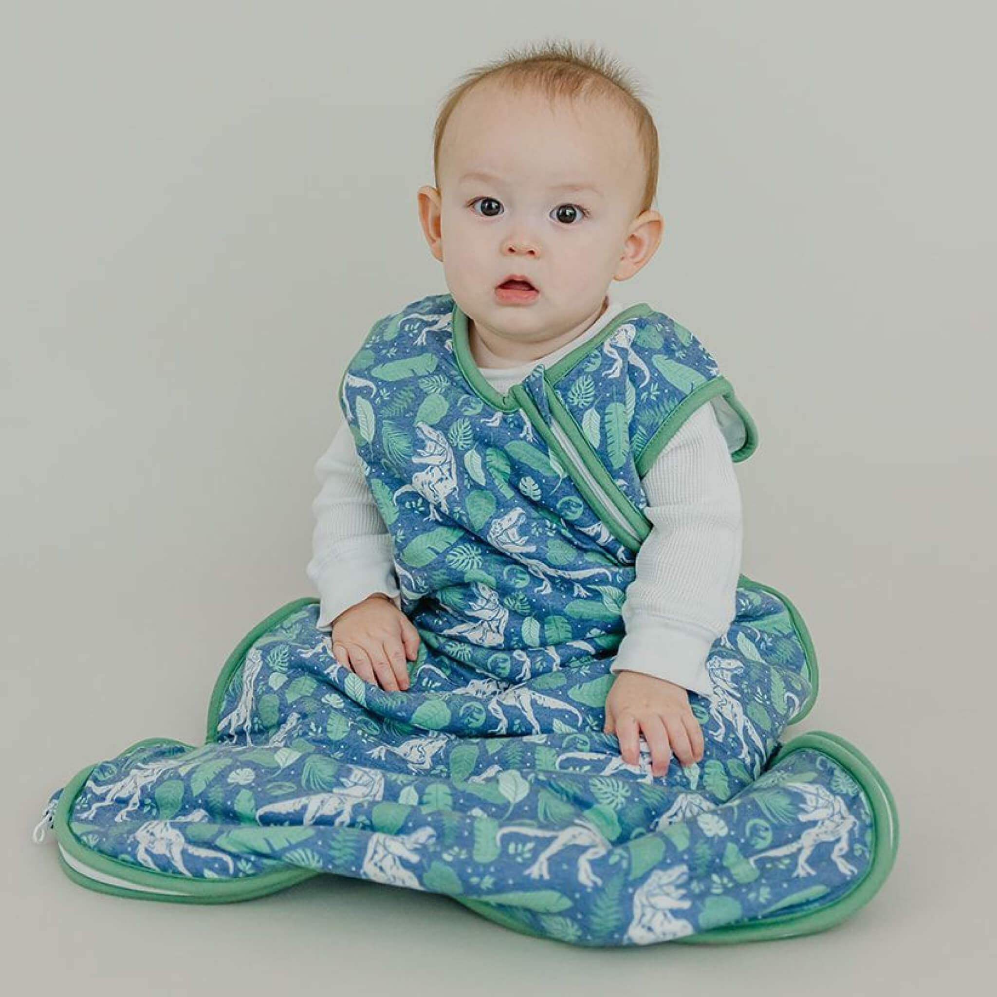 Sleep Bag - Jurassic Park