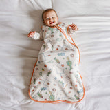 Sleep Bag - Sesame Street Varsity Friends