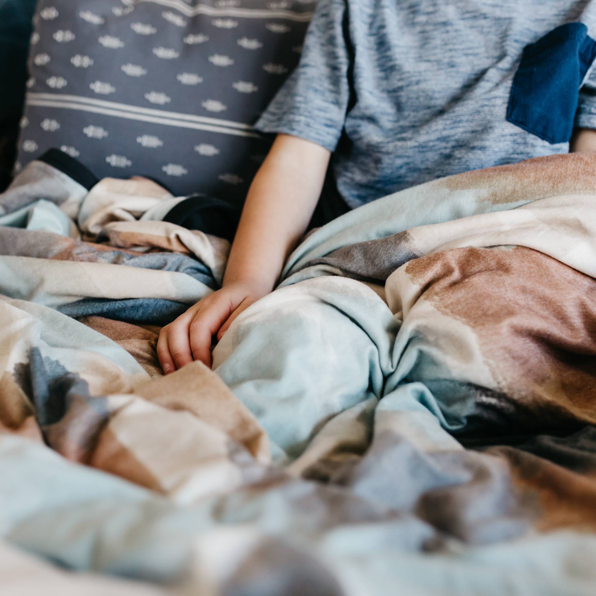 Three-Layer Jumbo Quilt - Picasso