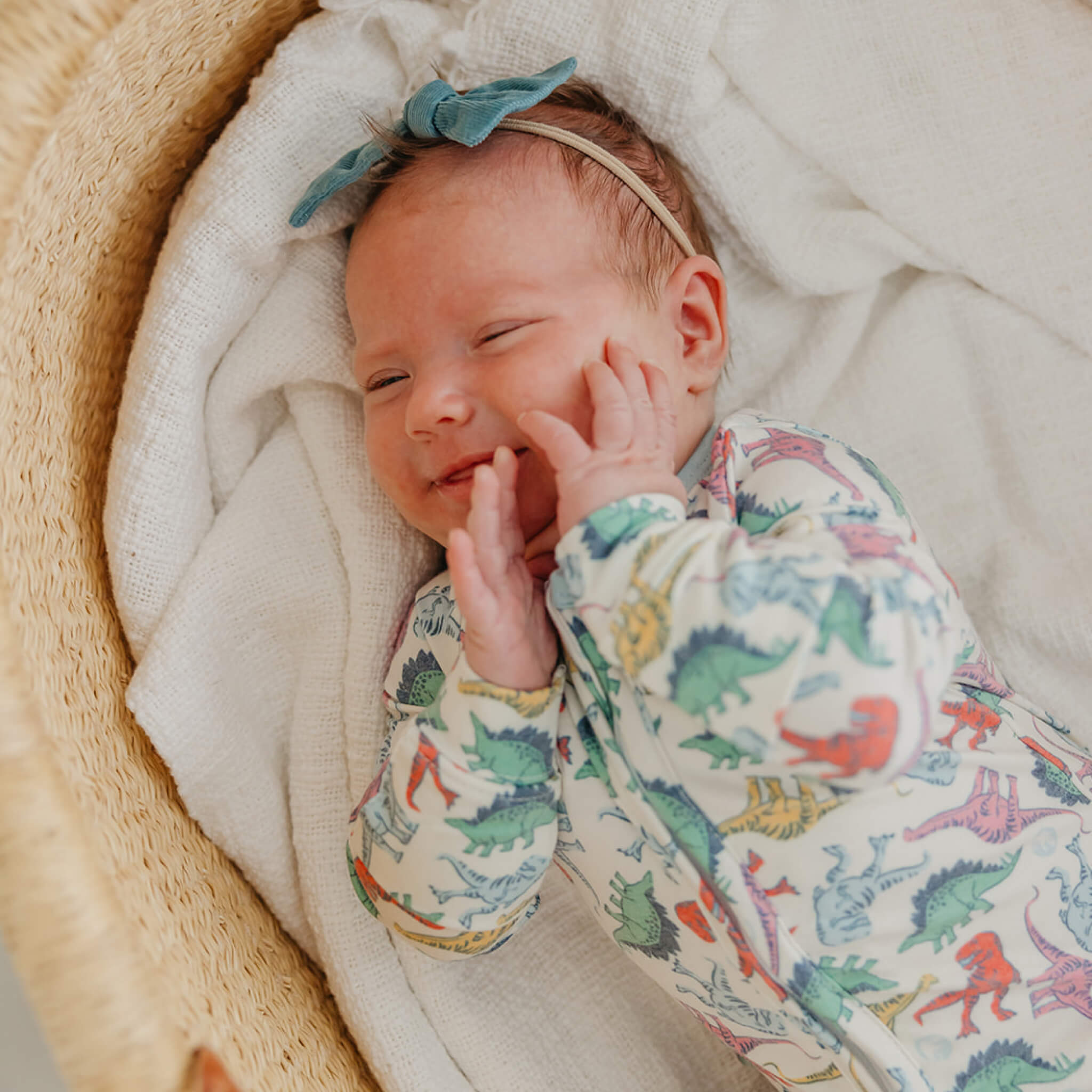 Zip-Up Footie Pajama - Dinosaurs of Jurassic Park