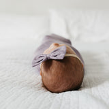 Bowtie Baby Bow - Violet
