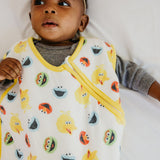 Sleep Bag - Sesame Scribbles