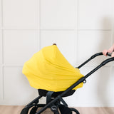 Multi-Use Cover - Squirt