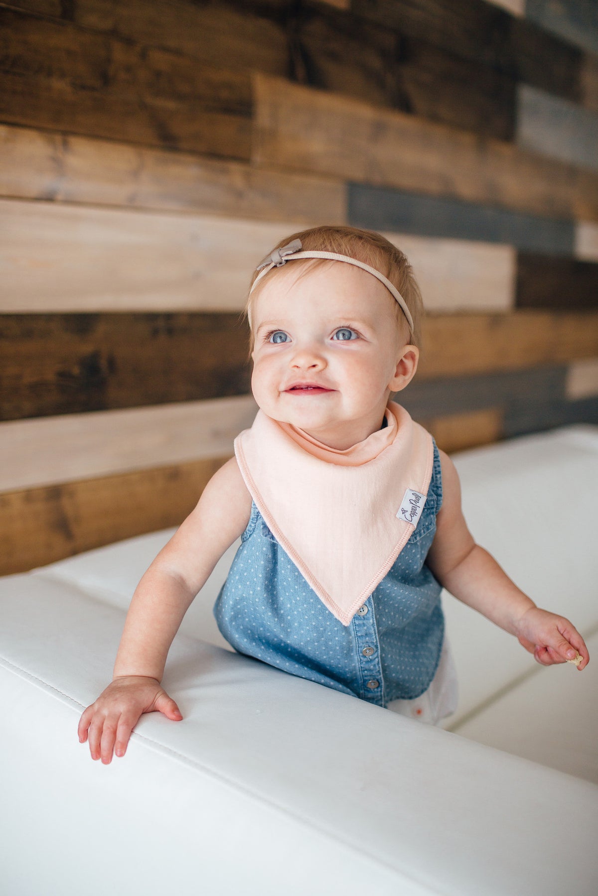 Baby Bandana Bibs - Sweetheart - Copper Pearl - 2